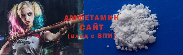 индика Вязьма