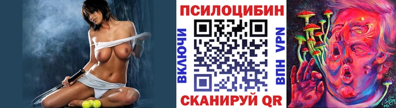 Псилоцибиновые грибы мицелий  Нолинск 